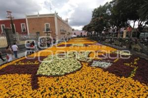 DÍA DE MUERTOS . ALFOMBRA MONUMENTAL