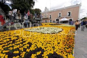 DÍA DE MUERTOS . ALFOMBRA MONUMENTAL