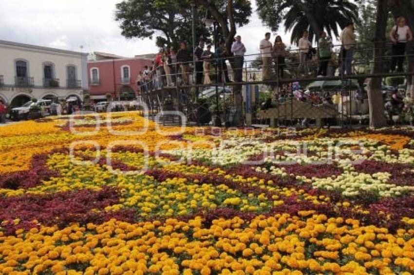 DÍA DE MUERTOS . ALFOMBRA MONUMENTAL