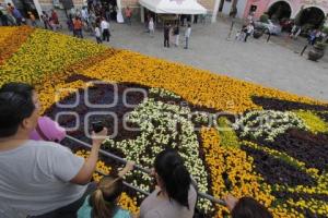 DÍA DE MUERTOS . ALFOMBRA MONUMENTAL