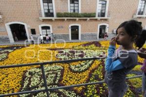 DÍA DE MUERTOS . ALFOMBRA MONUMENTAL