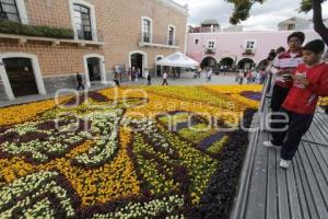 DÍA DE MUERTOS . ALFOMBRA MONUMENTAL