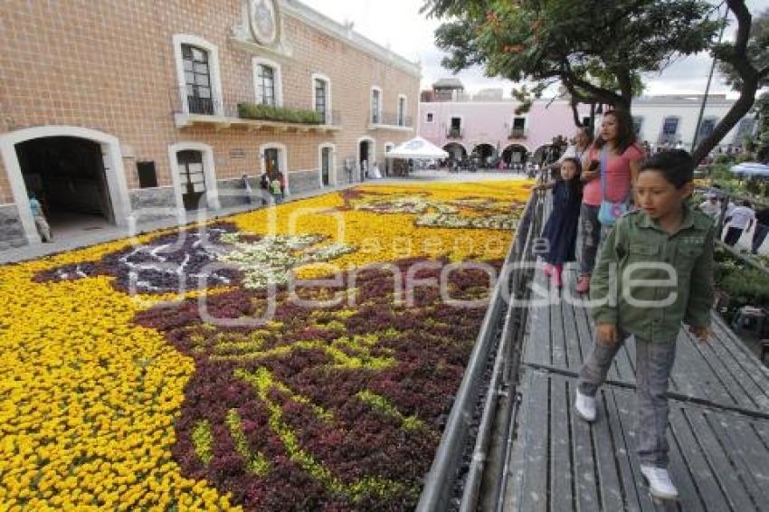 DÍA DE MUERTOS . ALFOMBRA MONUMENTAL