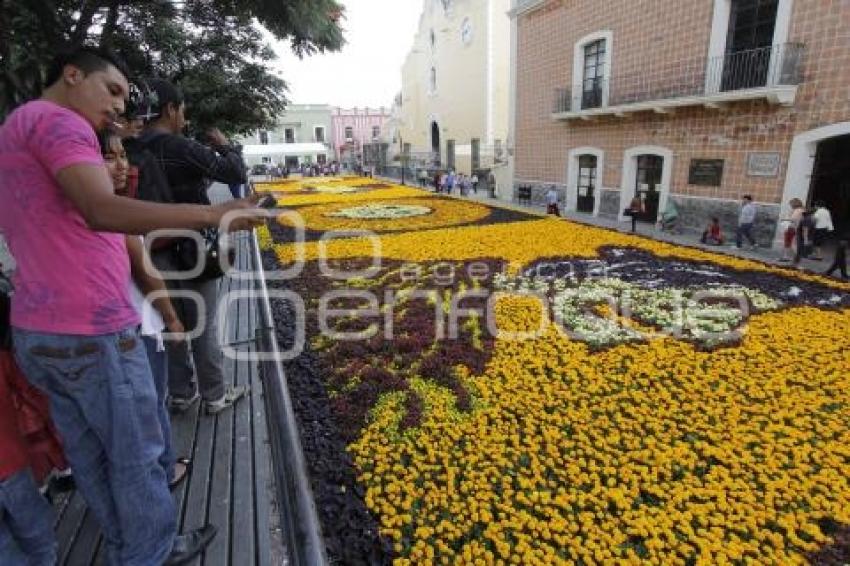 DÍA DE MUERTOS . ALFOMBRA MONUMENTAL