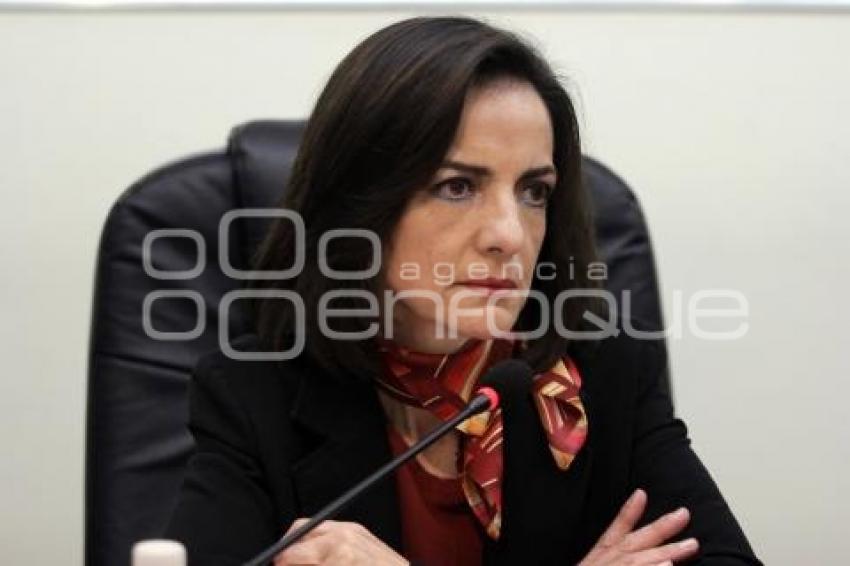 COMISIÓN DE GOBERNACIÓN. CONGRESO