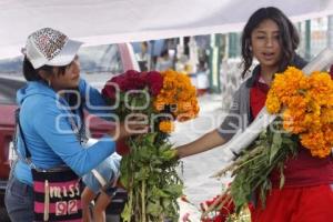 PANTEÓN PREVIO DÍA DE MUERTOS