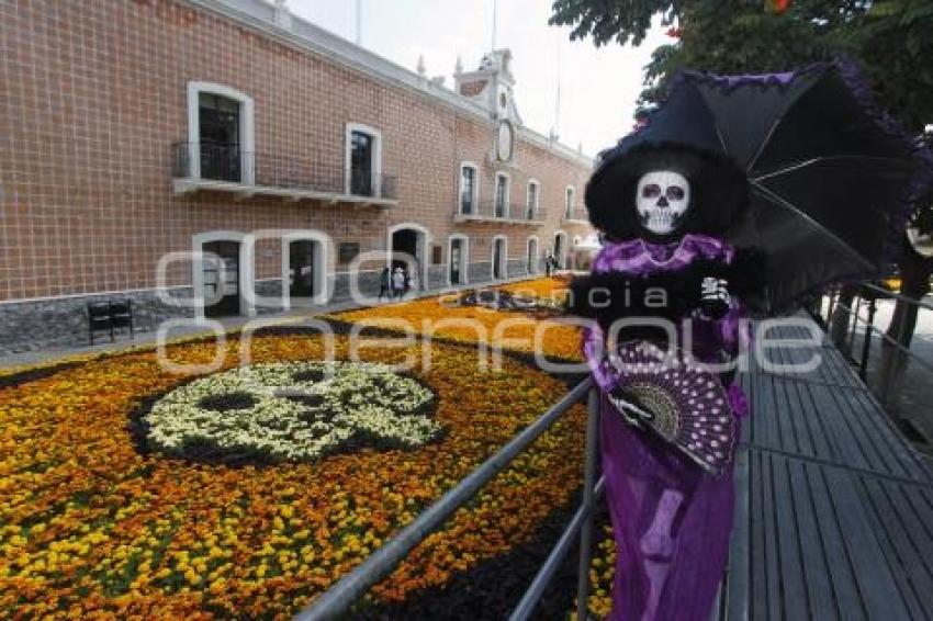 ALFOMBRA MONUMENTAL DE FLOR DE CEMPAXÚCHITL EN ATLIXCO