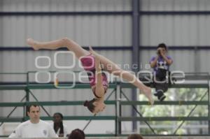 COPA PANAMERICANA DE GIMNASIA