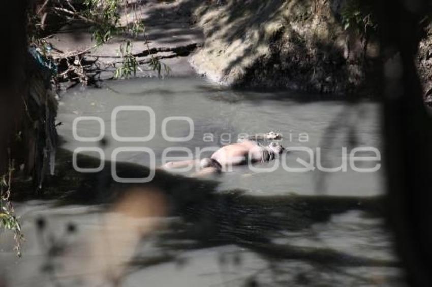 RÍO ATOYAC . CUERPO FLOTANDO