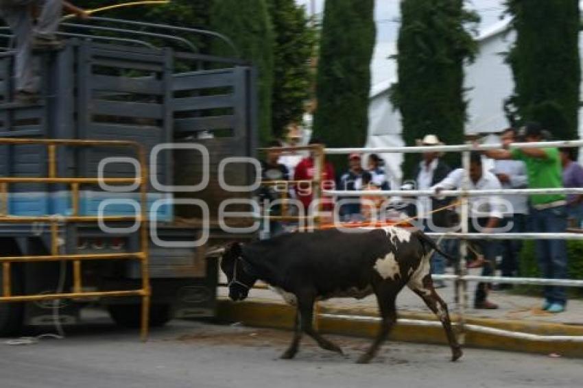 TEXMELUQUEADA . FIESTA PATRONAL