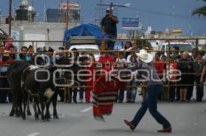 TEXMELUQUEADA . FIESTA PATRONAL