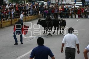 TEXMELUQUEADA . FIESTA PATRONAL