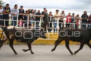 TEXMELUQUEADA . FIESTA PATRONAL