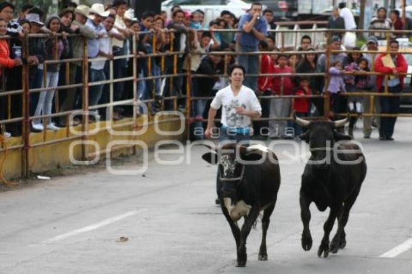 TEXMELUQUEADA . FIESTA PATRONAL