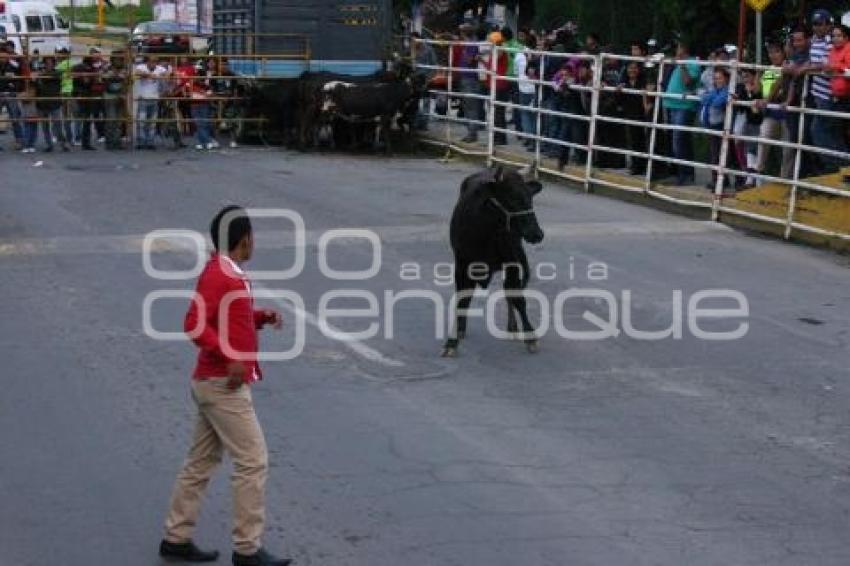 TEXMELUQUEADA . FIESTA PATRONAL