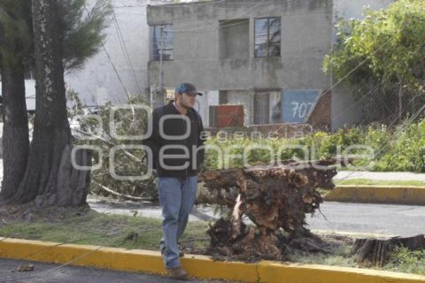 FUERTES VIENTOS