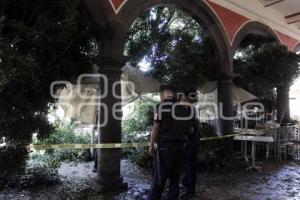 CAE ÁRBOL EN EL ZÓCALO