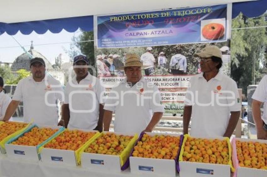 FERIA DEL TEJOCOTE