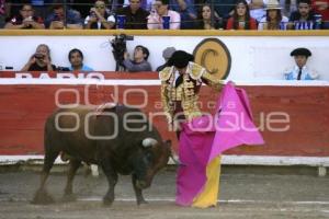 TOROS. FERNANDO OCHOA