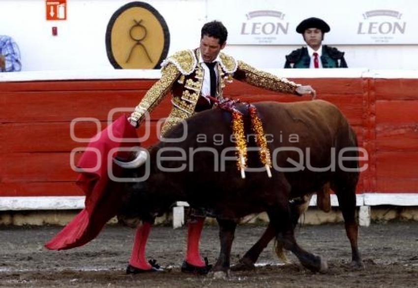 TOROS. FERNANDO OCHOA