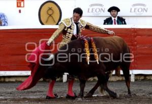 TOROS. FERNANDO OCHOA