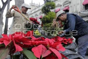 ADORNO DE NAVIDAD . NOCHEBUENAS