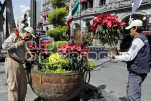 ADORNO DE NAVIDAD . NOCHEBUENAS