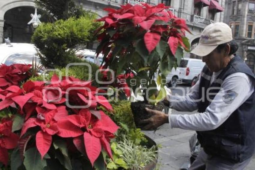 ADORNO DE NAVIDAD . NOCHEBUENAS