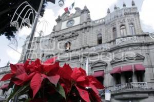 ADORNO DE NAVIDAD . NOCHEBUENAS