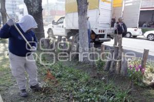 MEJORAMIENTO DE CAMELLONES