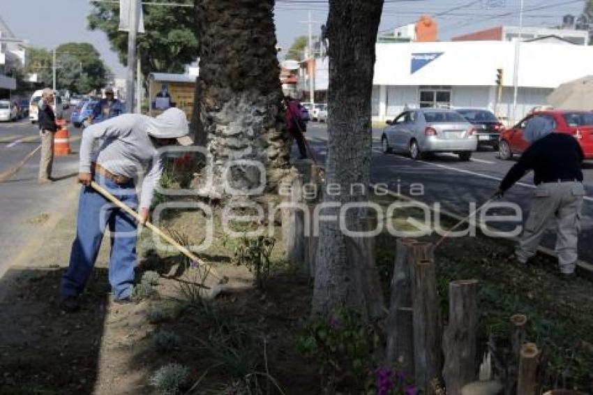 MEJORAMIENTO DE CAMELLONES