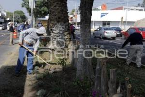 MEJORAMIENTO DE CAMELLONES