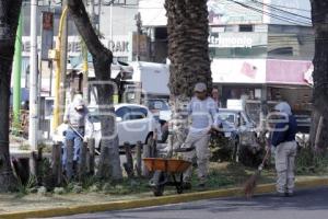 MEJORAMIENTO DE CAMELLONES