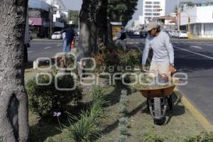 MEJORAMIENTO DE CAMELLONES