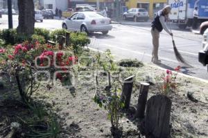 MEJORAMIENTO DE CAMELLONES