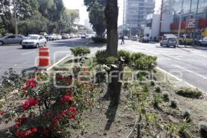 MEJORAMIENTO DE CAMELLONES
