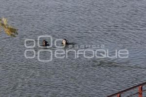 LAGUNA DE CHAPULCO . AHOGADO