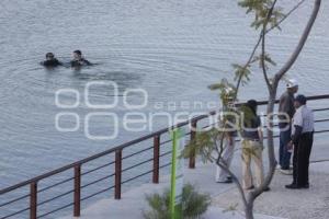 LAGUNA DE CHAPULCO . AHOGADO