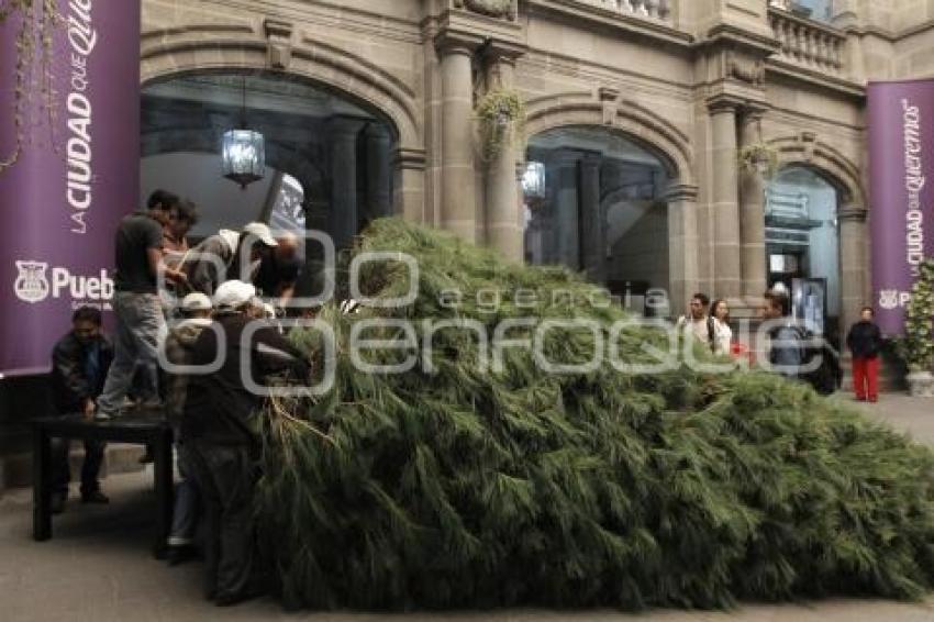 COLOCAN ÁRBOL DE NAVIDAD EN EL AYUNTAMIENTO