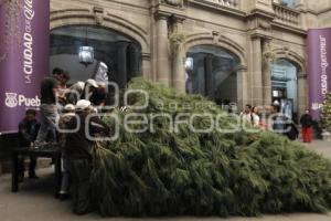 COLOCAN ÁRBOL DE NAVIDAD EN EL AYUNTAMIENTO