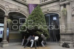 COLOCAN ÁRBOL DE NAVIDAD EN EL AYUNTAMIENTO