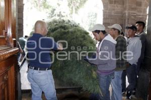 COLOCAN ÁRBOL DE NAVIDAD EN EL AYUNTAMIENTO