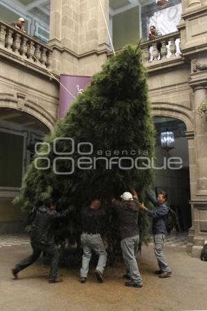 COLOCAN ÁRBOL DE NAVIDAD EN EL AYUNTAMIENTO