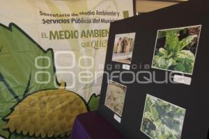 FERIA AMBIENTAL