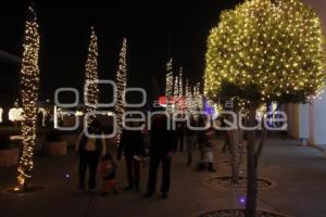 ENCENDIDO ÁRBOL BUAP