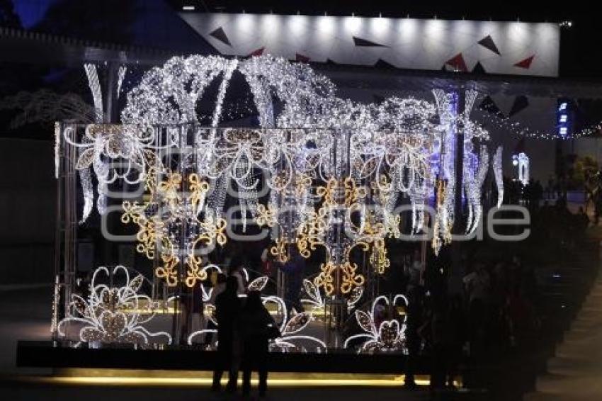 ENCENDIDO ILUMINACIÓN NAVIDEÑA