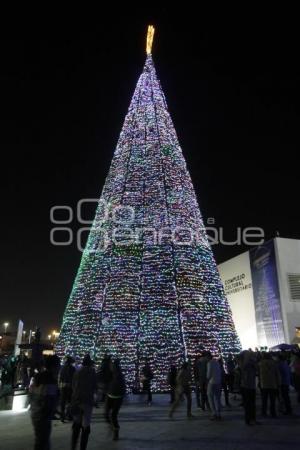 ENCENDIDO ÁRBOL BUAP