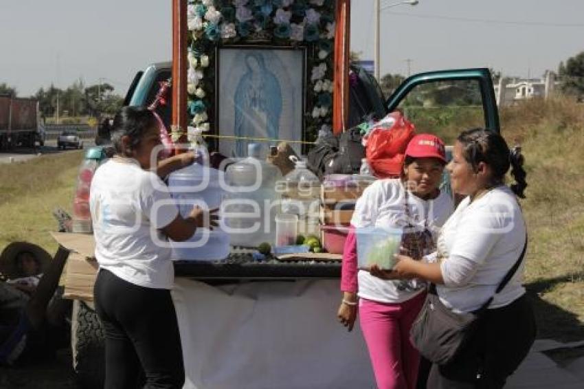 PEREGRINOS EN LA AUTOPISTA