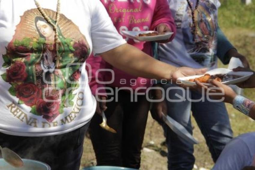 PEREGRINOS EN LA AUTOPISTA