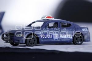 PLAN GENERAL DE ACCIÓN INVIERNO 2013 POLICIA FEDERAL